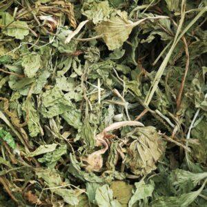 Royal herbs Babka szerokolistna 100 g