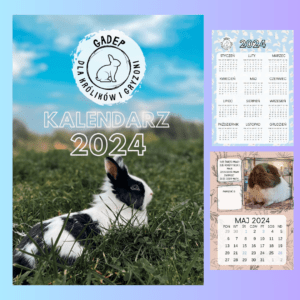 GADEP kalendarz 2024